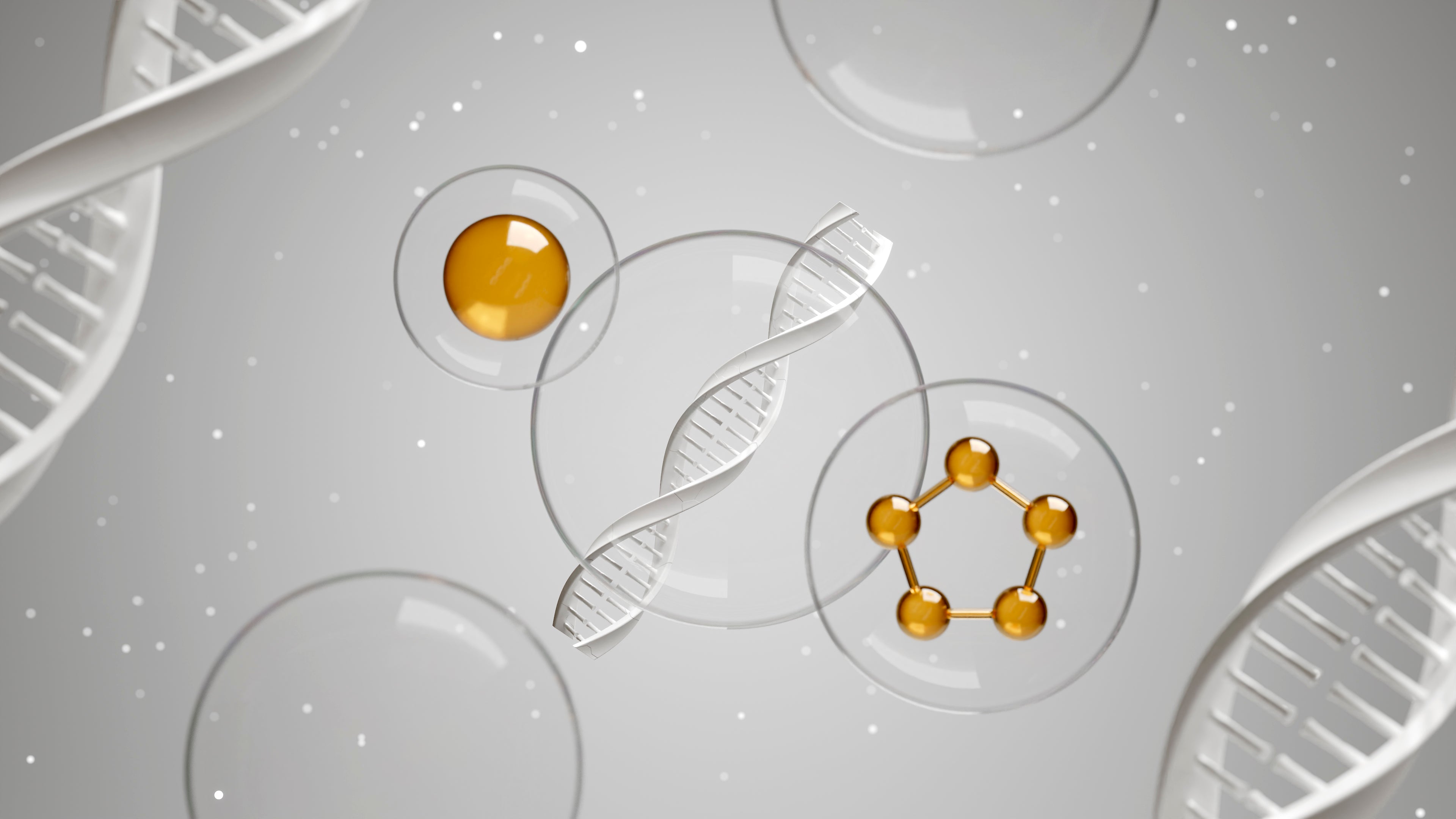 peptides and Dna representation concept